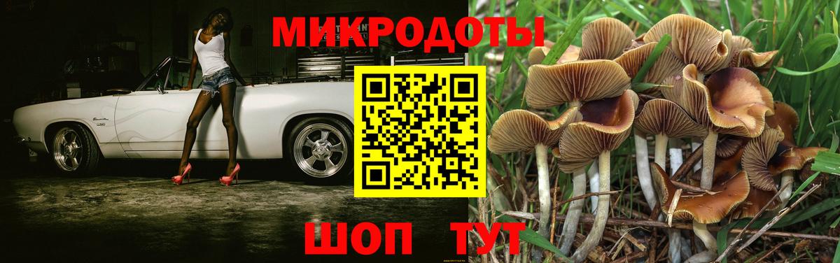 цена   Псилоцибиновые грибы ЛСД  Вход с VPN  Усть-Джегута  Псилоцибиновые грибы прущие грибы 