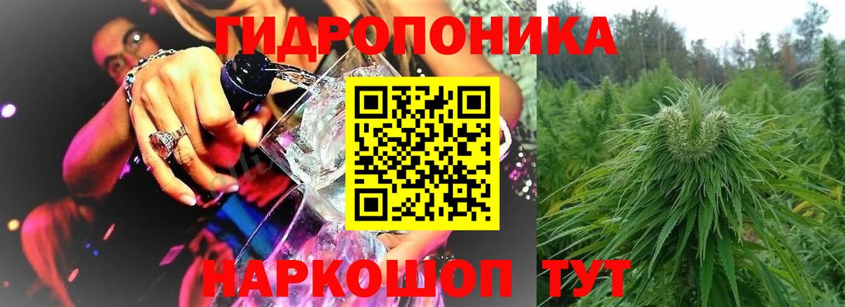Конопля White Widow  Каннабис сатива  Вход с VPN  Усть-Джегута  Шишки марихуана индика 